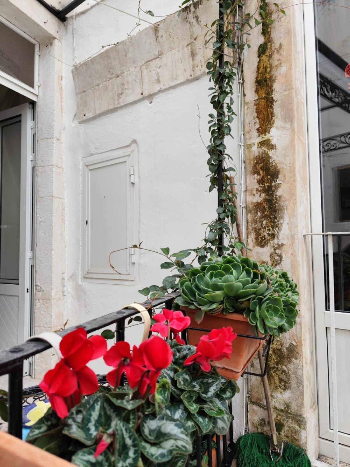 Le Mie Meraviglie Martina Franca Dış mekan fotoğraf